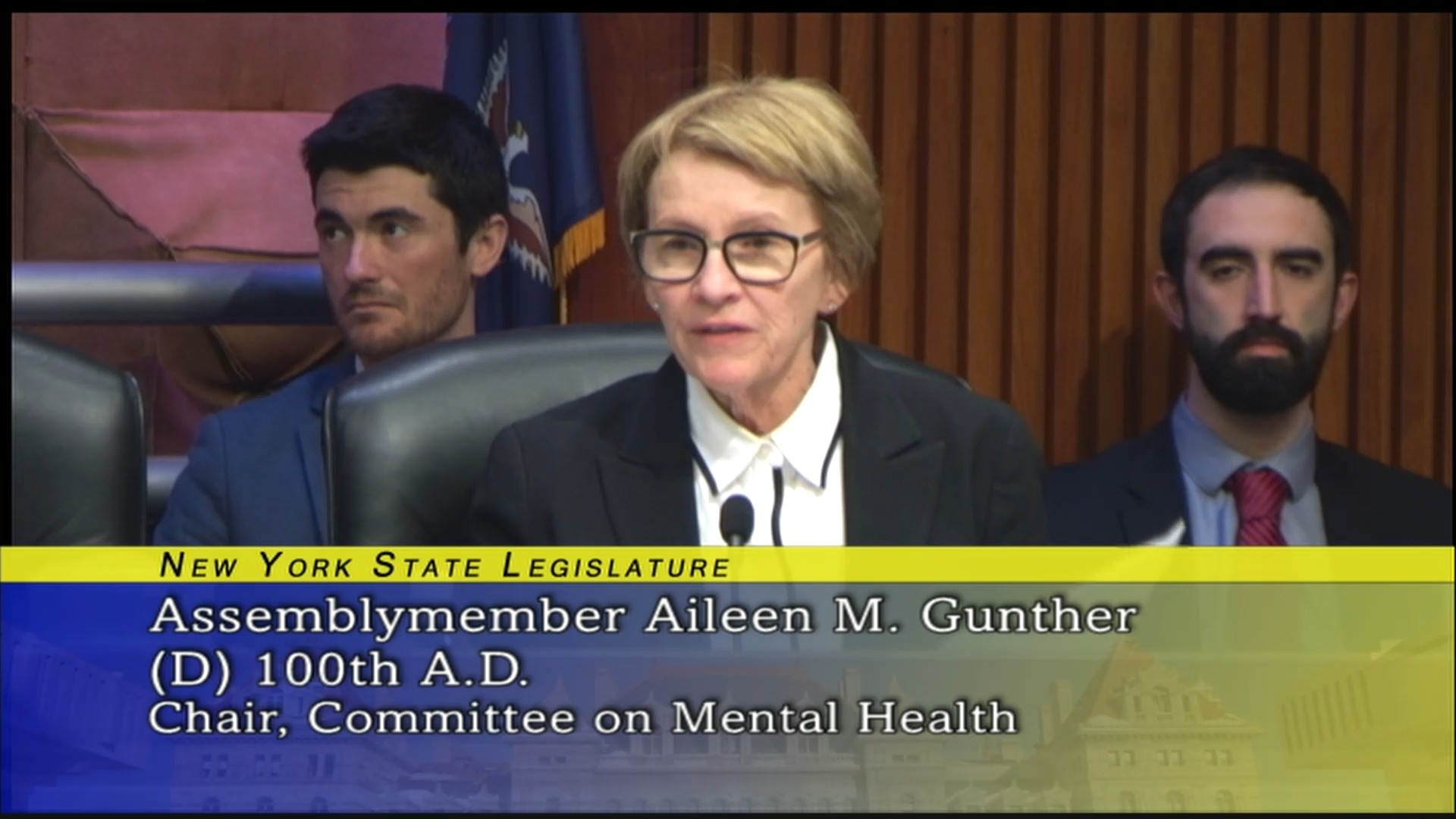 2020 Joint Budget Hearing on Mental Hygiene (4)