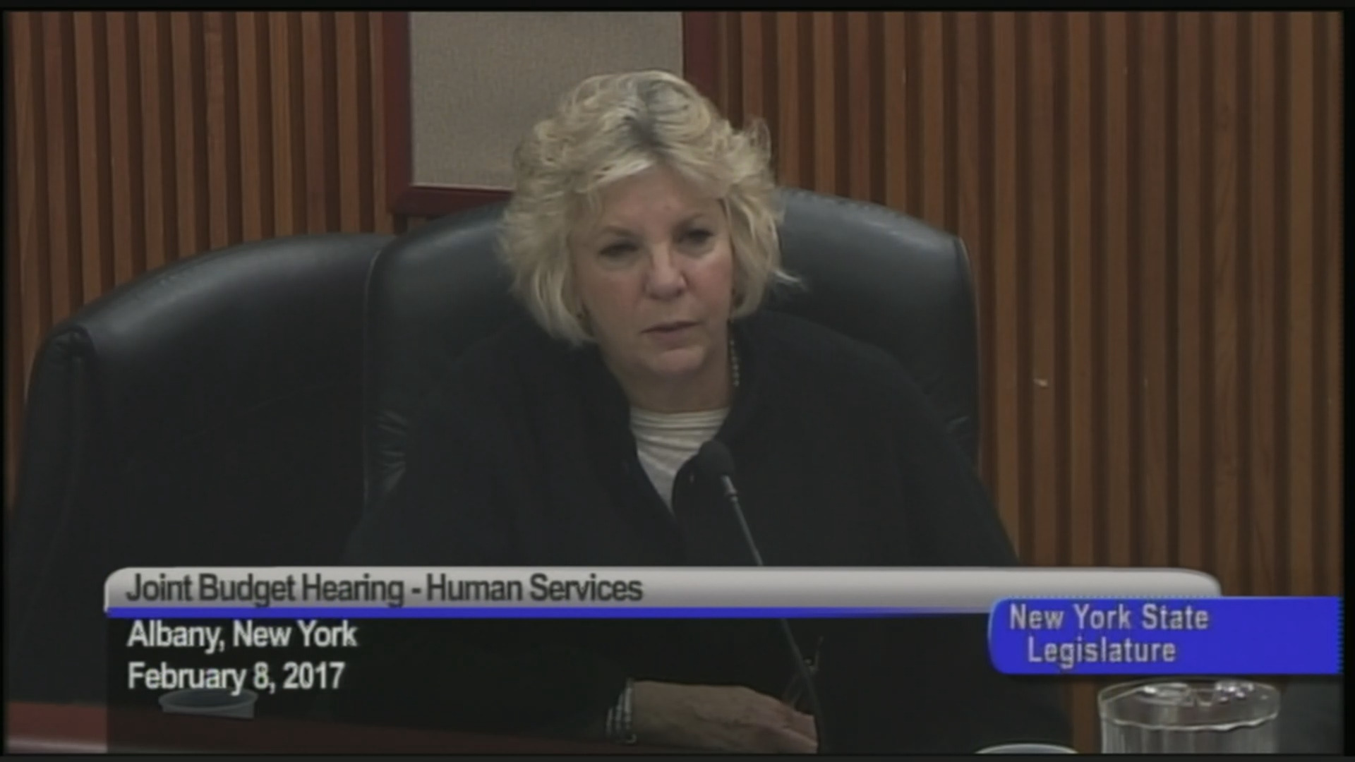 Assembly-Senate Budget Hearing on Funding for Human Services