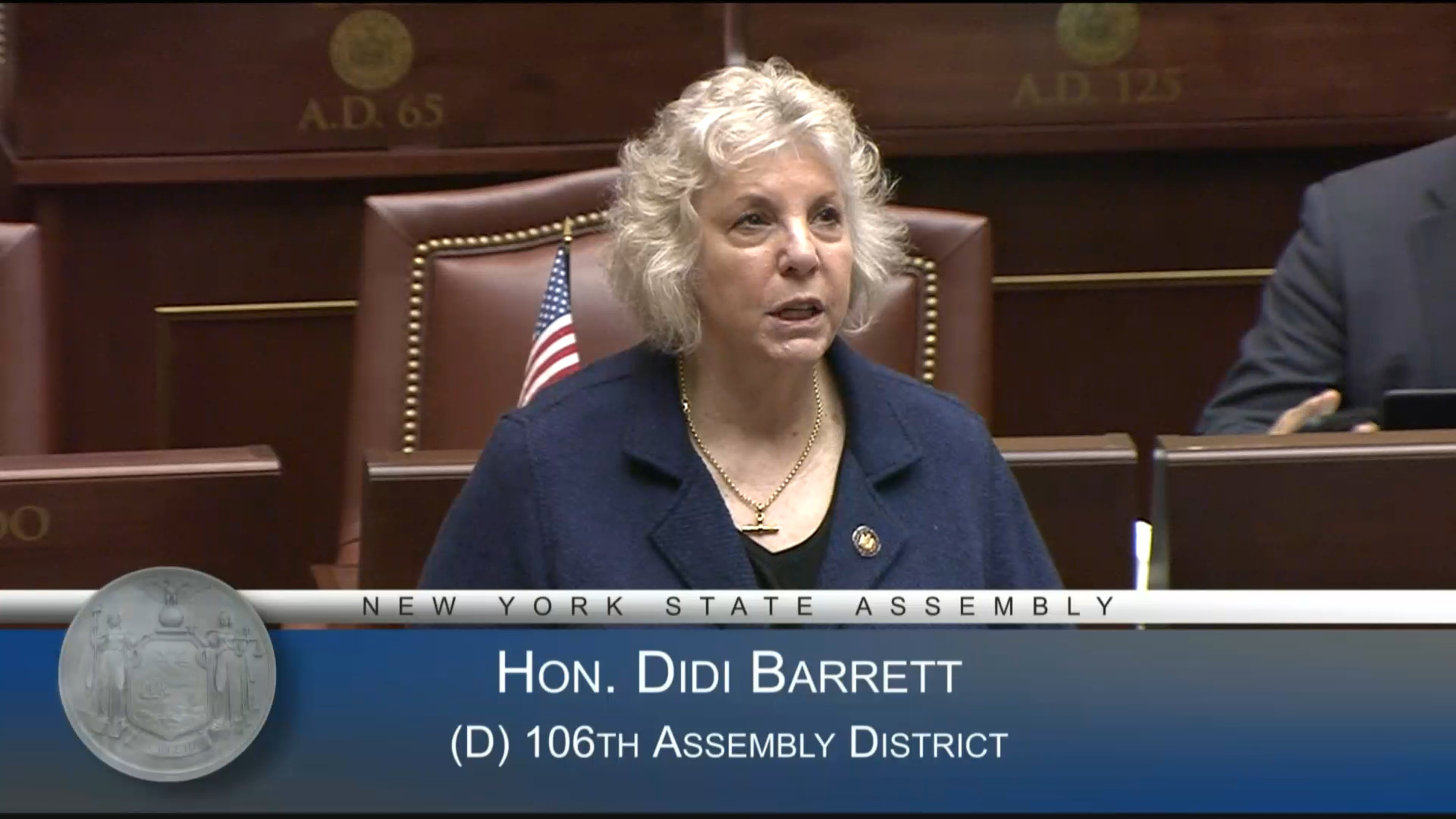 Lyme Disease Awareness Month in NY