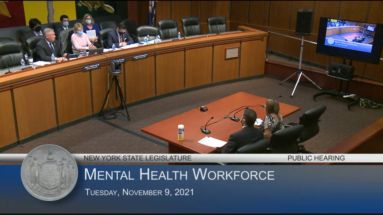 Public Hearing on the Mental Health Workforce