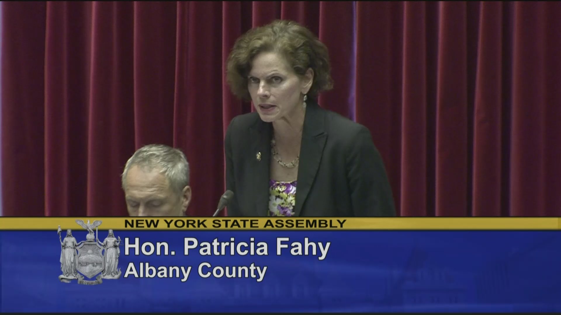 Assemblywoman Fahy Advocates for Bail Reform