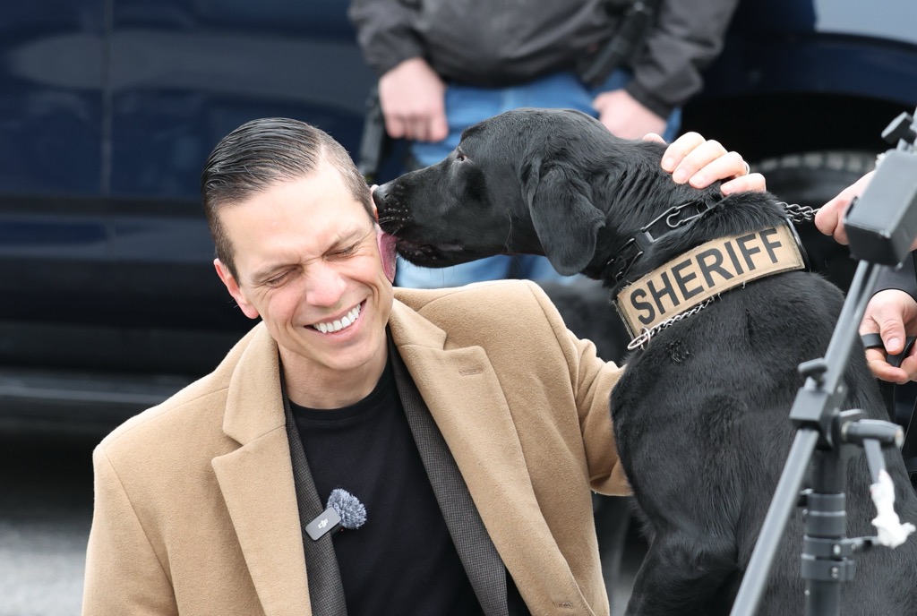 Photo as described in caption