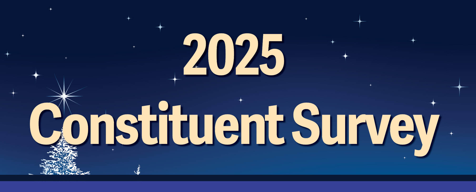 2025 Constituent Survey