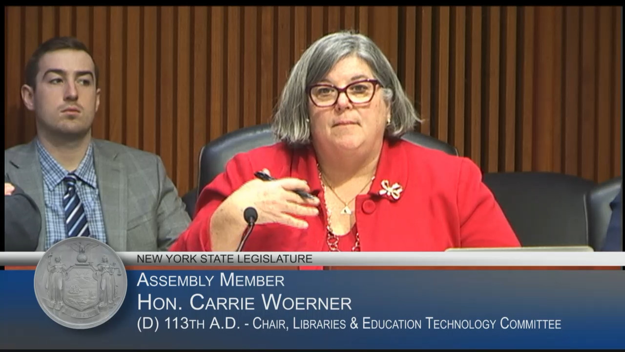 Woerner Questions Education Commissioner During Budget Hearing on Education