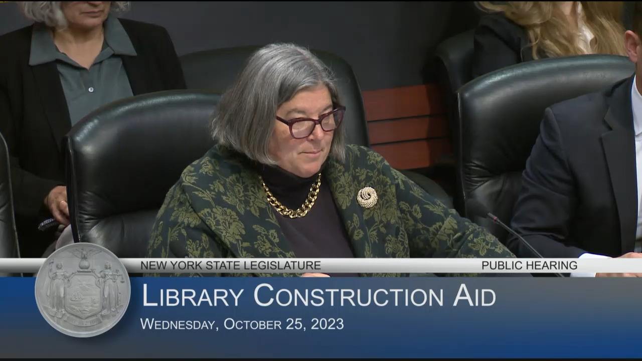 Woerner Chairs Public Hearing on Library Construction Aid