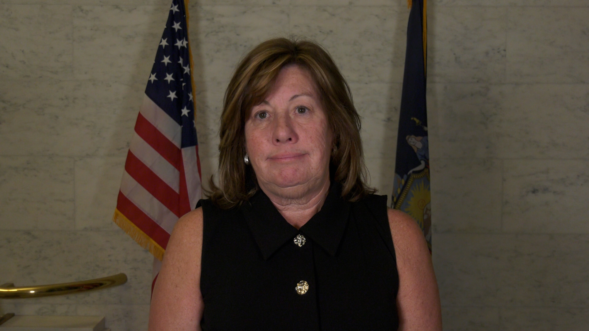 K9 Veterans Day in NY