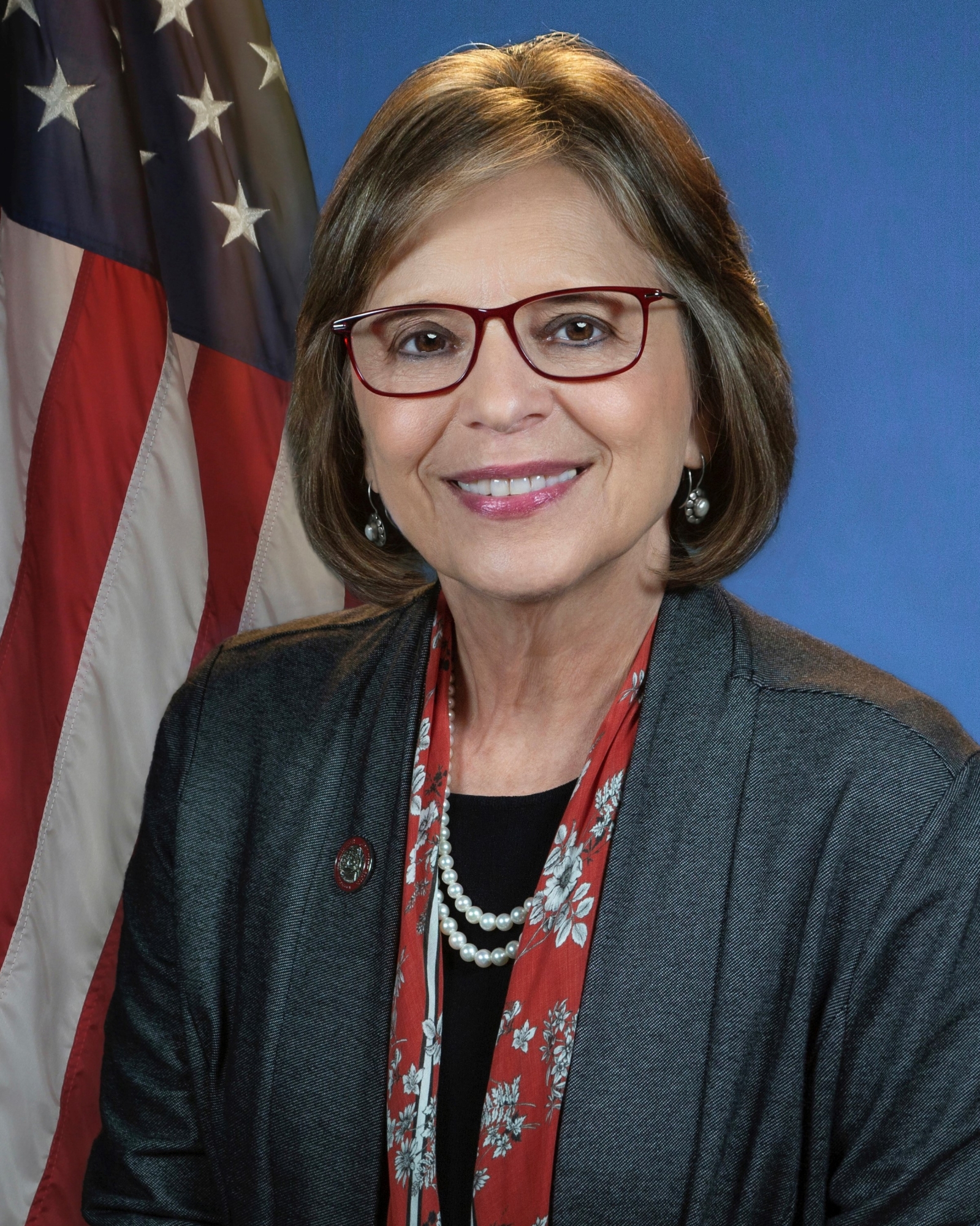 Assemblywoman  Donna A. Lupardo