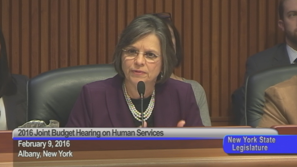 Assemblywoman Lupardo Questions Cost, Timeframe Of Childcare And Development Block Grant