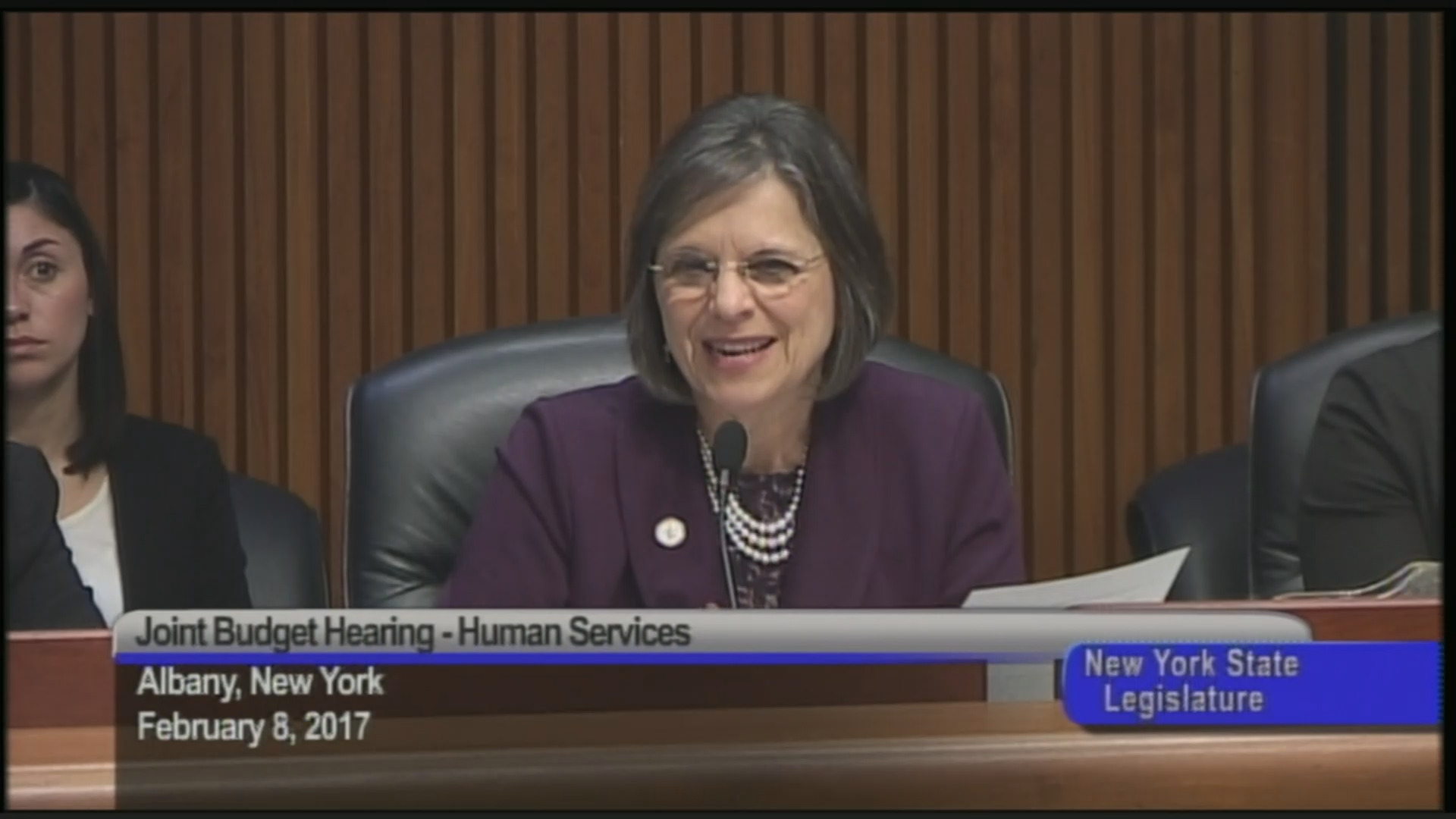 Joint Budget Hearing on Funding for Human Services