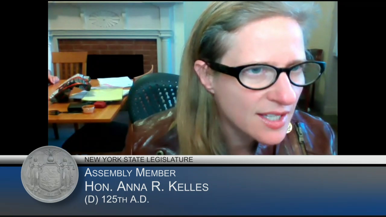 Renewable Energy Discussed at Virtual Assembly Public Hearing