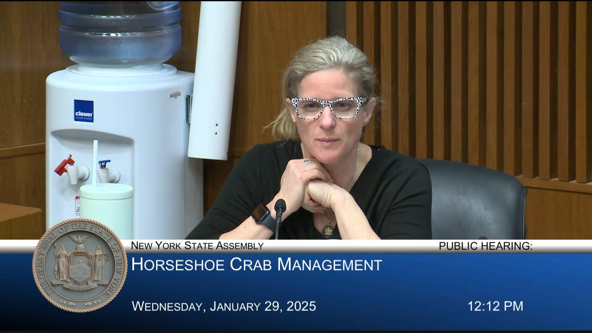 Environmental Advocates Testify During a Public Hearing on Horseshoe Crab Management in New York