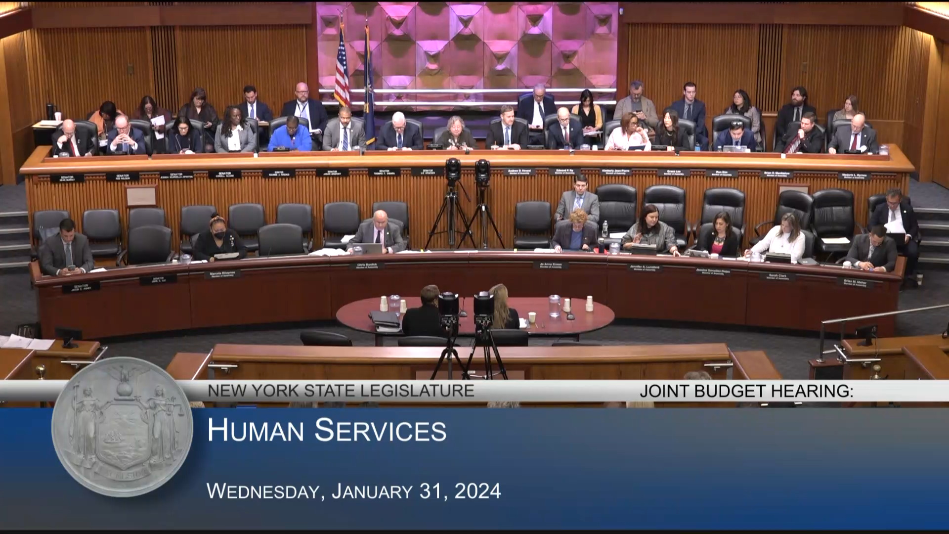 Children and Family Services Acting Commissioner Testifies During Budget Hearing on Human Services