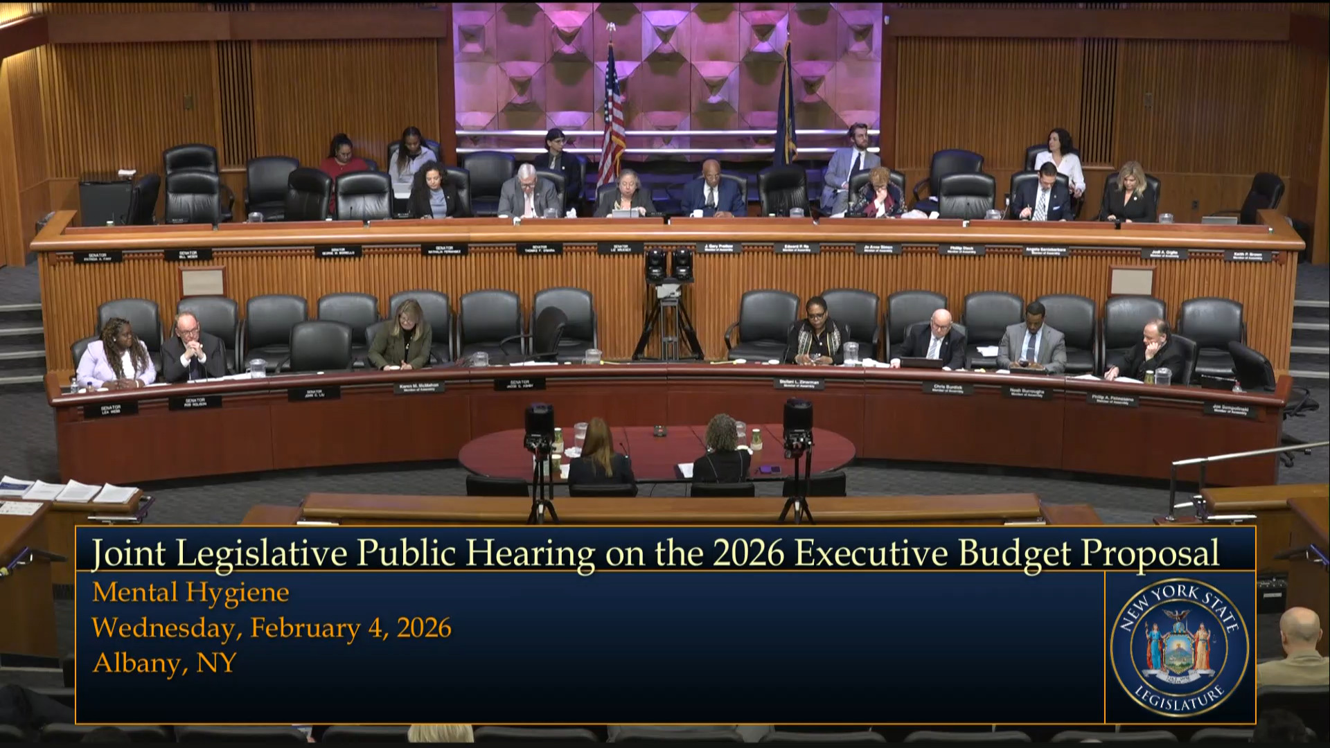 OPWDD Commissioner Testifies During a Joint Budget Hearing on Mental Hygiene